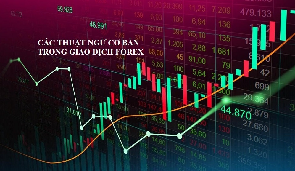 Hướng dẫn chơi Forex cơ bản: Các khái niệm thuật ngữ Forex