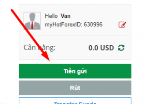 Đăng nhập vào tài khoản HotForex nạp tiền