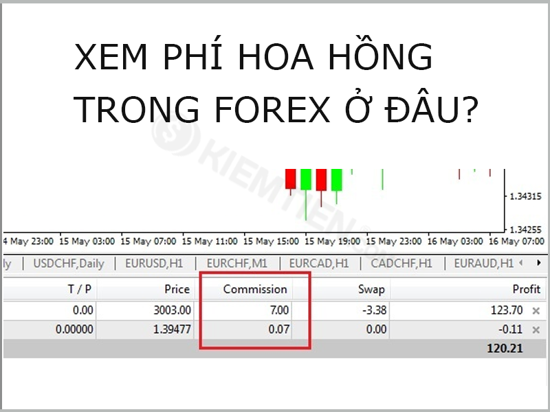 Cách xem phí hoa hồng ( Phí Commission là gì)