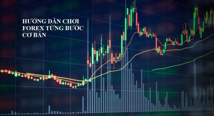 Hướng dẫn chơi Forex cơ bản cho người mới bắt đầu