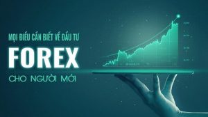 kinh nghiệm chơi Forex dành cho người mới bắt đầu 