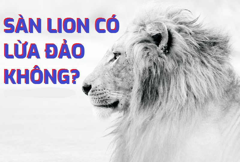 Cách Lion Team lừa đảo nhà đầu tư