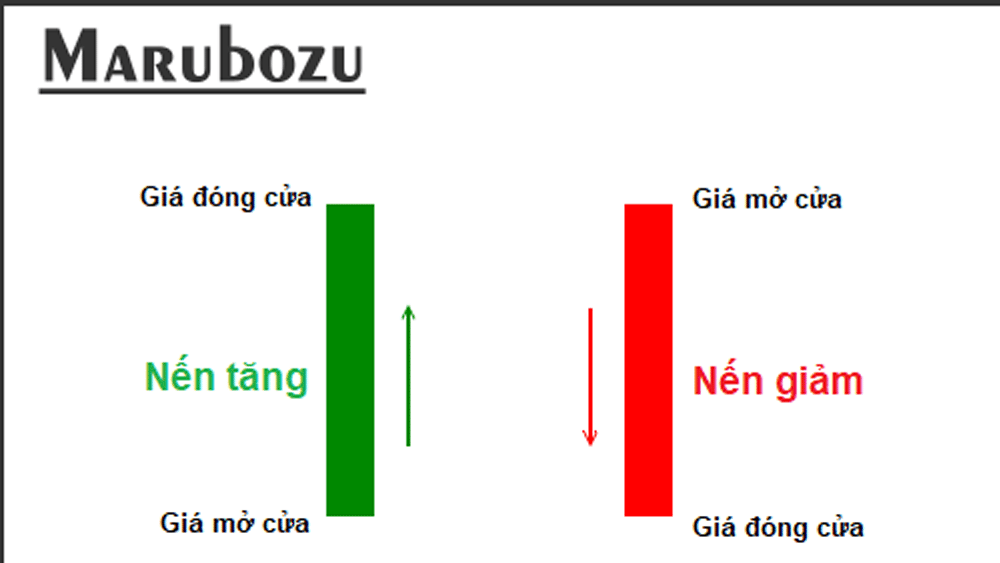 Phân loại nến Marubozu là gì?