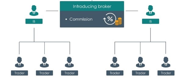 Minh họa IB Forex là gì? 