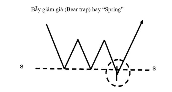Bear trap là gì?