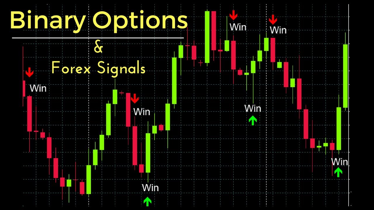 Binary Option là gì?